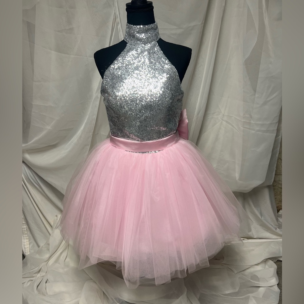 Silver Sequin and Pink Tulle Dress NWOT Not Sure what size